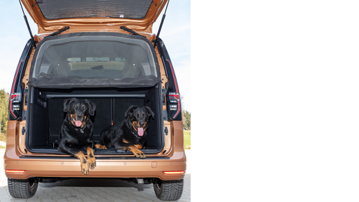 BRANDRUP® Moskitonetz für Heckklappen-Öffnung für Caddy 5/Caddy California
